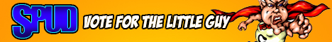 Vote for the Little Guy Orange Banner